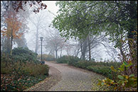 Schlossparkweg im Nebel